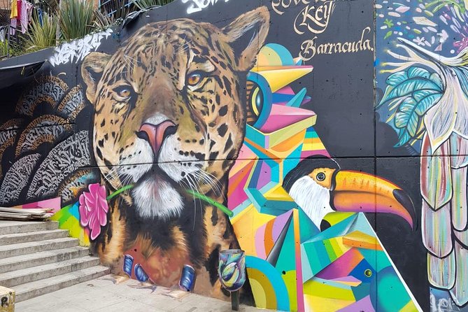 Medellín & Comuna 13 Private Tour - Tour Overview