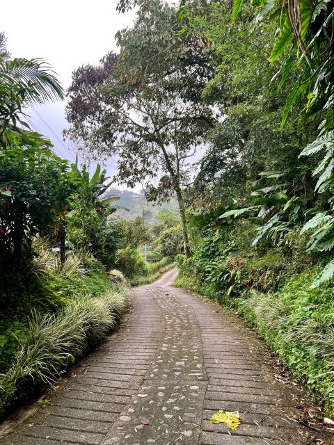Medellin: Electric Mountain Bike (Ebike) - Adventure Route - Location Insights - Venecia, Antioquia