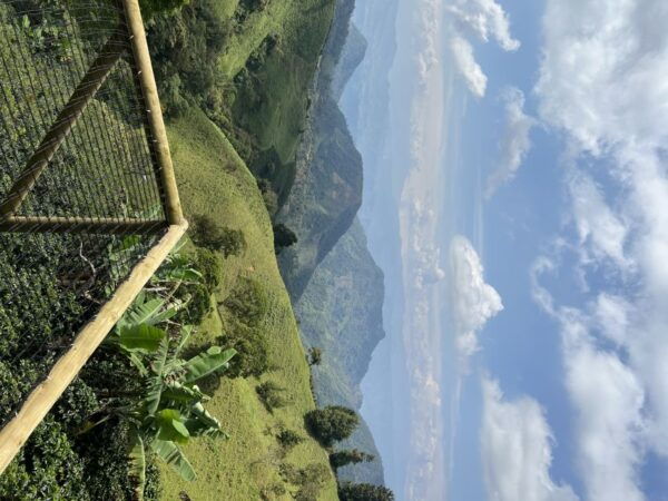 Medellin: Electric Mountain Bike (Ebike) - Adventure Route - The Sum Up