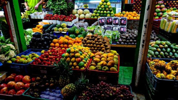 Medellín: Exotic Fruits and Explore the Local Markets - Plaza Minorista Exploration