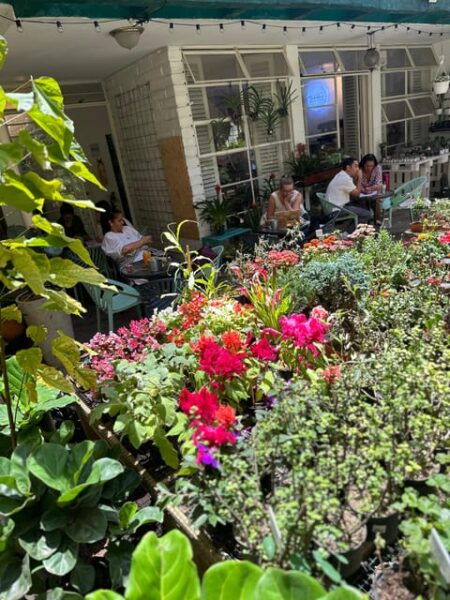 Medellín Full Day Electric Bike Tour + Lunch + Commune 13 - Tour Starting and Ending Points
