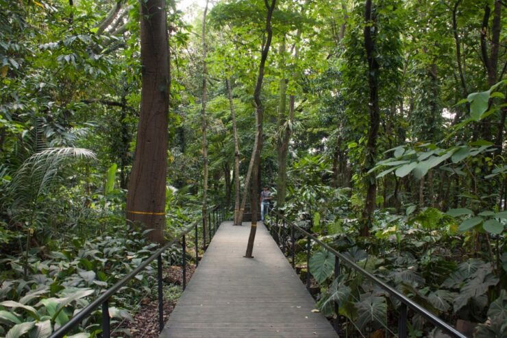 Medellin Full-Day Grand City Tour - Tour Highlights