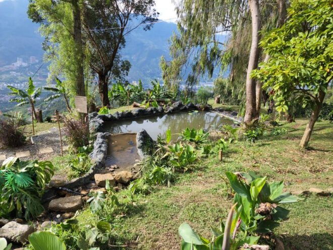 Medellin: Glamping Spa and Coffee Tour Experience - Customer Satisfaction
