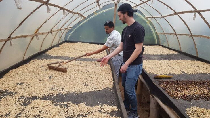 Medellin: Guatape, El Peñol Coffee Farm Private Tour & Fruit - Good To Know