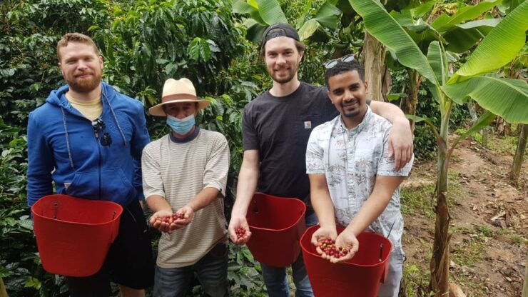 Medellin: Guatape, El Peñol Coffee Farm Private Tour & Fruit - Tour Experience