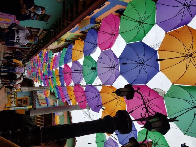 Medellin: Guatape, El Peñol Coffee Farm Private Tour & Fruit - Highlights of the Tour