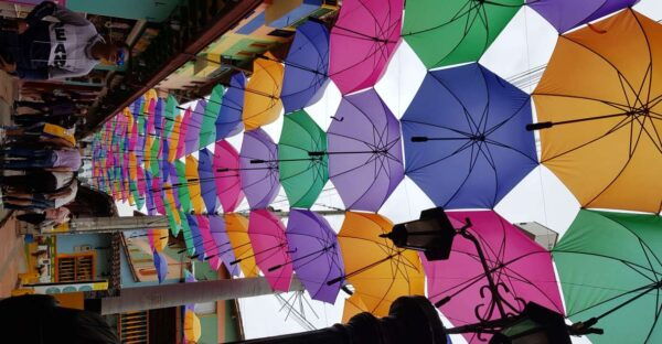 Medellin: Guatape, El Peñol Coffee Farm Private Tour & Fruit - Frequently Asked Questions