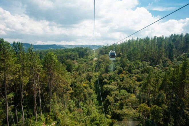 Medellin: Guided Nature Discovery Tour - Booking Process