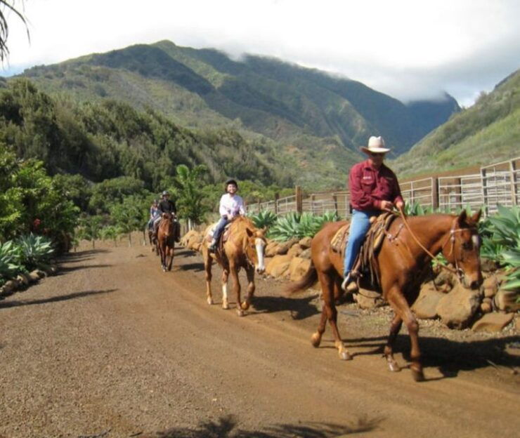 Medellin: Guided Tour on Horseback in Nature - Activity Details