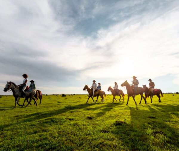 Medellin: Guided Tour on Horseback in Nature - The Sum Up