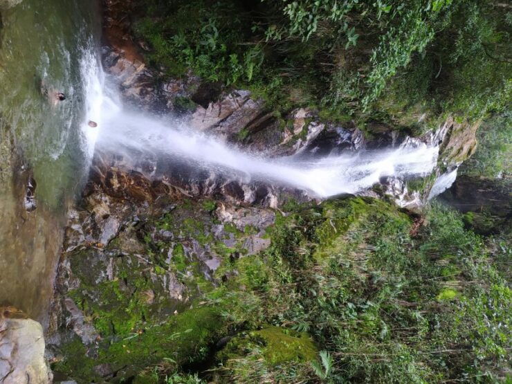 Medellin: Half–Day Private Nature Tour & Waterfall Hike - Good To Know