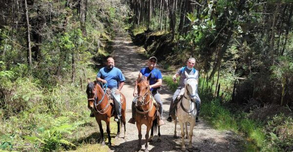 Medellin: Horseback Riding Coffee Farm Tour With Coffee Spa - The Sum Up