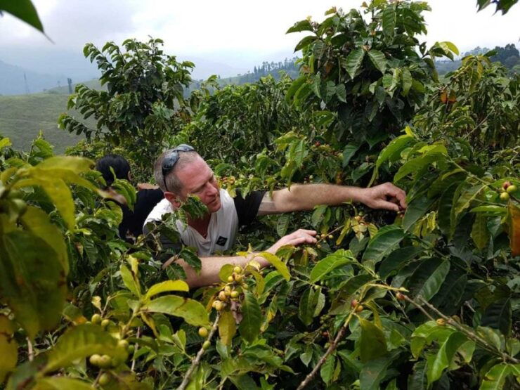 Medellin: Private 4-Hour Coffee Farm Visit - Experience Highlights