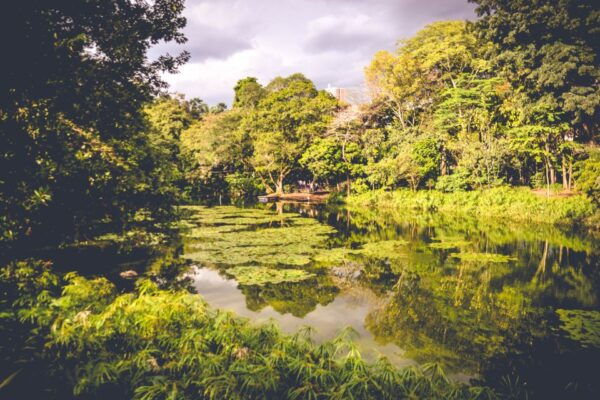 Medellin: Private City Tour - Frequently Asked Questions