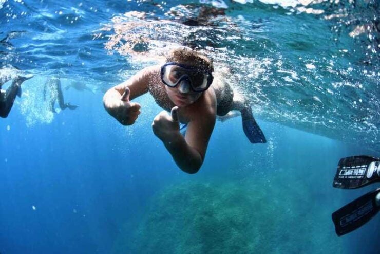 Medes Islands: Snorkeling at the Beautiful Nature Park - Equipment and Preparation