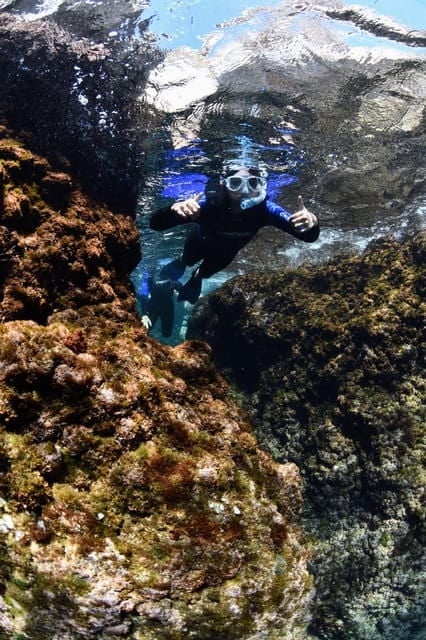 Medes Islands: Snorkeling at the Beautiful Nature Park - Marine Biodiversity of the Reserve