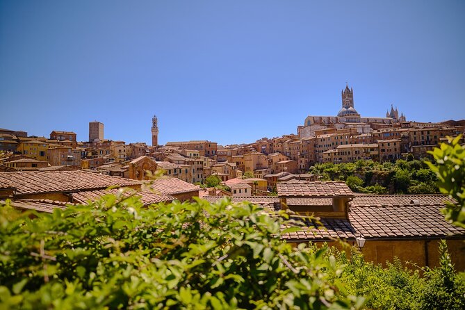 Medieval Gems of Tuscany: Siena, San Gimignano and Monteriggioni - Tour Highlights