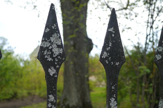 Medieval Horror, Undead and Dark Folklore Walk Uppsala City - Open Tour - Inclusions