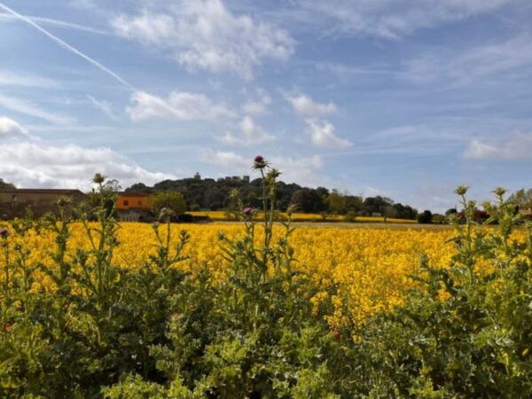 Medieval Tour: Cycling and History - Important Details to Note