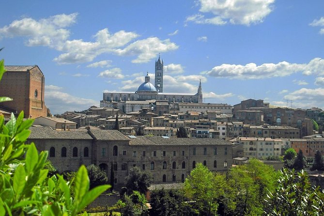 Medieval Treasures: Private Excursion From Rome to Siena/Orvieto - Good To Know