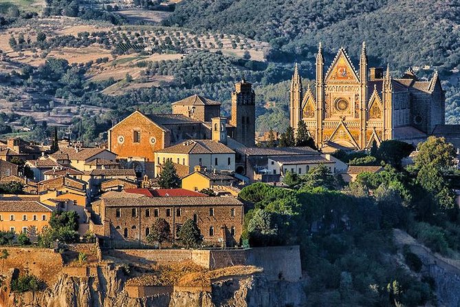Medieval Treasures: Private Excursion From Rome to Siena/Orvieto - Confirmation and Accessibility