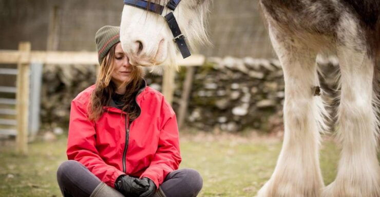 Meditate With Horses Full Circle Experiences - Delightful and Enchanting Horse Interaction