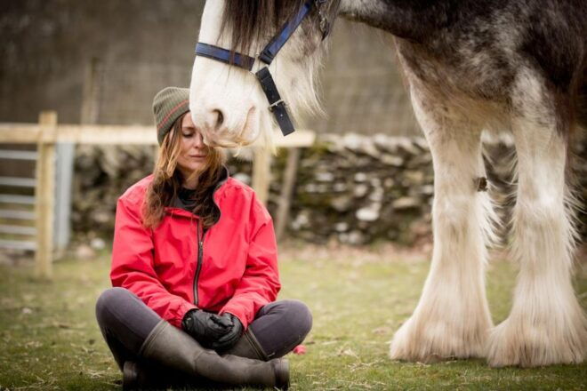 Meditate With Horses Full Circle Experiences - Greeting and Grooming Horses in a Serene Location