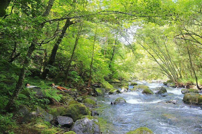 Meditation Experience in Nature With Primeval Forest and Springs - Experience Inclusions and Accessibility