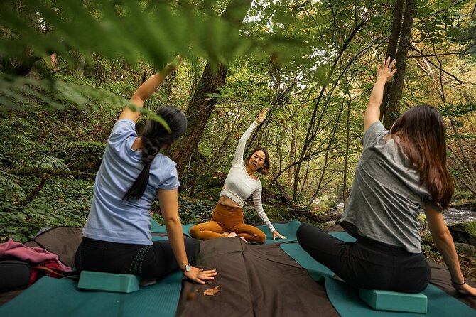 Meditation Experience in Nature With Primeval Forest and Springs - Attire and Age Requirement