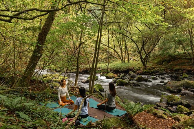 Meditation Experience in Nature With Primeval Forest and Springs - Facilities and Cancellation Policy