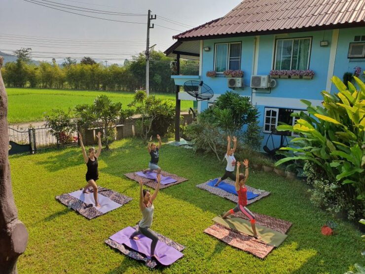 Meditation & Yoga Retreat in Nature - Daily Activities