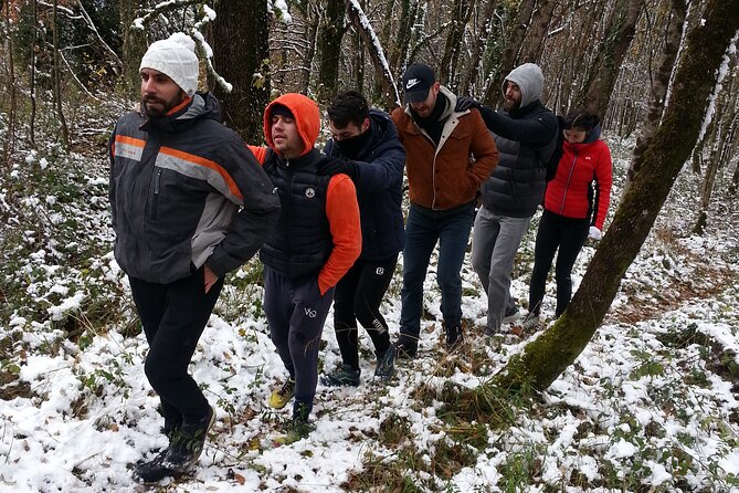 Meditative Walk in the Forest - Inclusions and Fees