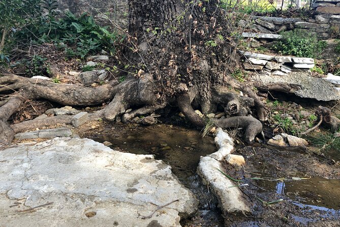 Mediterranean Diet Experience in Naxos - Common Questions