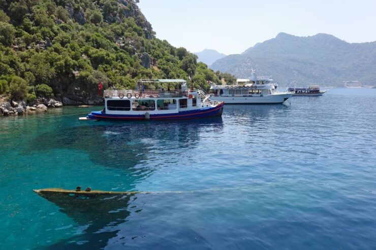 Mediterranean Sea Diving Experience With Transfer - Activity Details