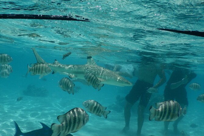 Medium Magical Combo in Moorea of 2 Hours of Jetski and 3h30 of Quad - Cancellation and Refund Policy