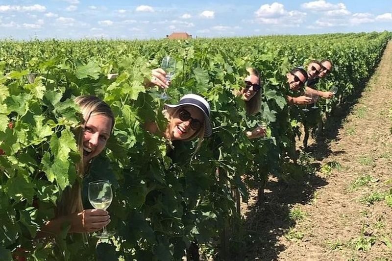Medoc Afternoon Wine Tour with Appetizer Platter from Bordeaux - Key points before you book