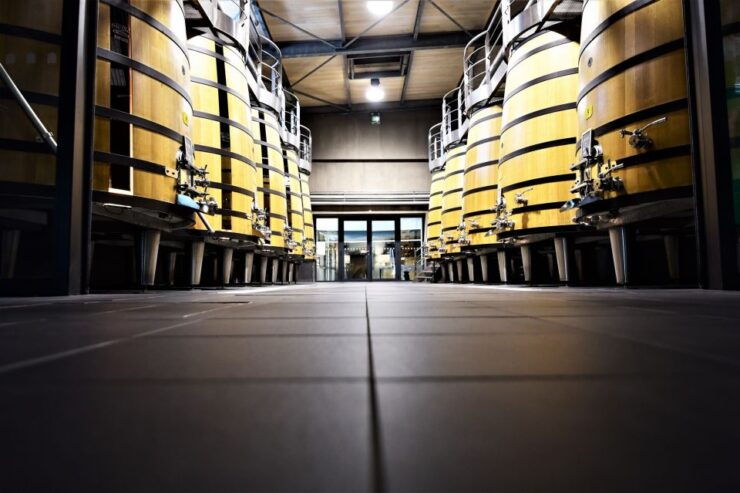 Medoc Afternoon Wine Tour With Winery Visits & Tastings - Experience Highlights and Requirements