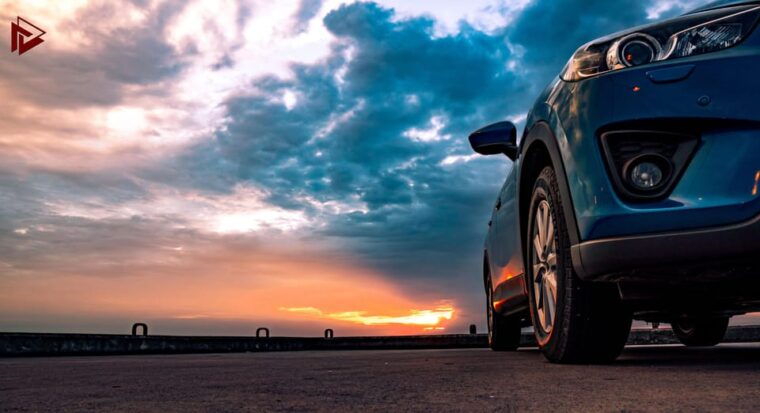 Medoc and Libournais (Left and Right Bank) - Exploring the Libournais Wine Area