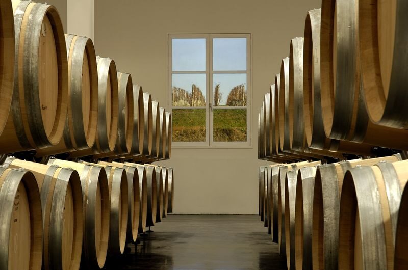 Medoc Full Day or Half Day Wine Tour from Bordeaux - Why a guide and minivan are practical here