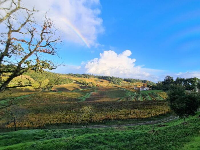 Médoc Morning Wine Tour - Winery & Tastings - Frequently Asked Questions