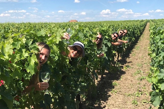 Medoc or St-Emilion Small-Group Wine Tasting and Chateaux Tour From Bordeaux - Availability and Reservation