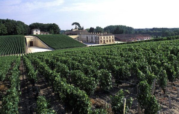 Medoc: Private Wine Tour - Booking Process