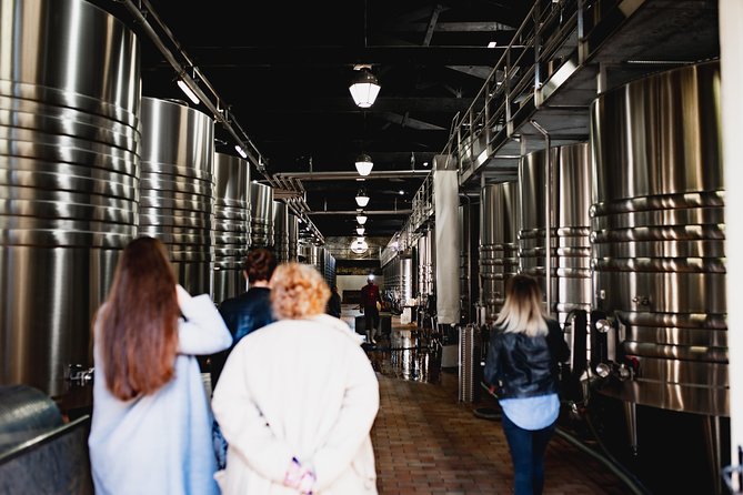 Médoc Region Small Group Half Day Afternoon Wine Tour - Tour Itinerary and Highlights
