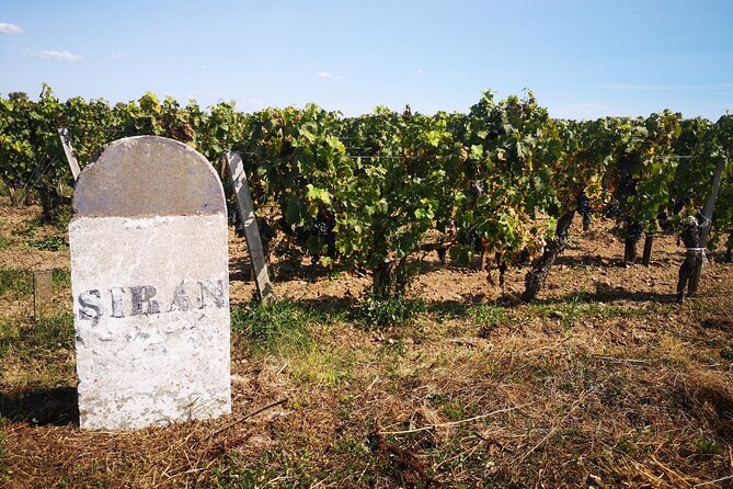 Medoc Region Wine Day Trip With Vineyard Visits & Tastings From Bordeaux - Wine Tasting Experiences