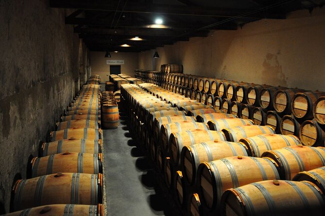 Medoc Region Wine Day Trip With Vineyard Visits & Tastings From Bordeaux - Positive Reviews