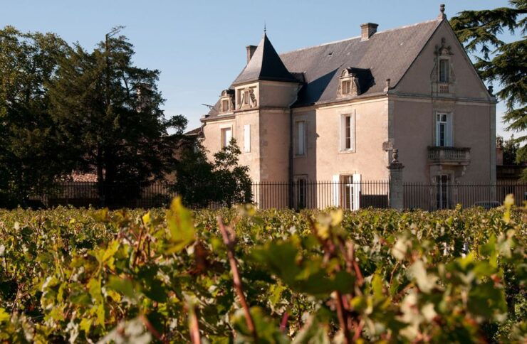 Medoc Tour : Margaux, Saint Estèphe and Greediness - Inclusions
