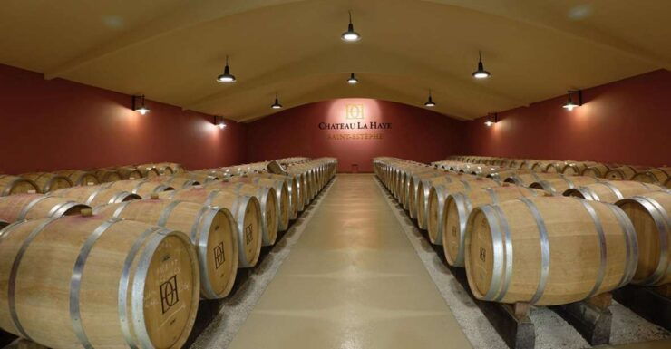 Medoc Tour : Margaux, Saint Estèphe and Greediness - Tour Highlights