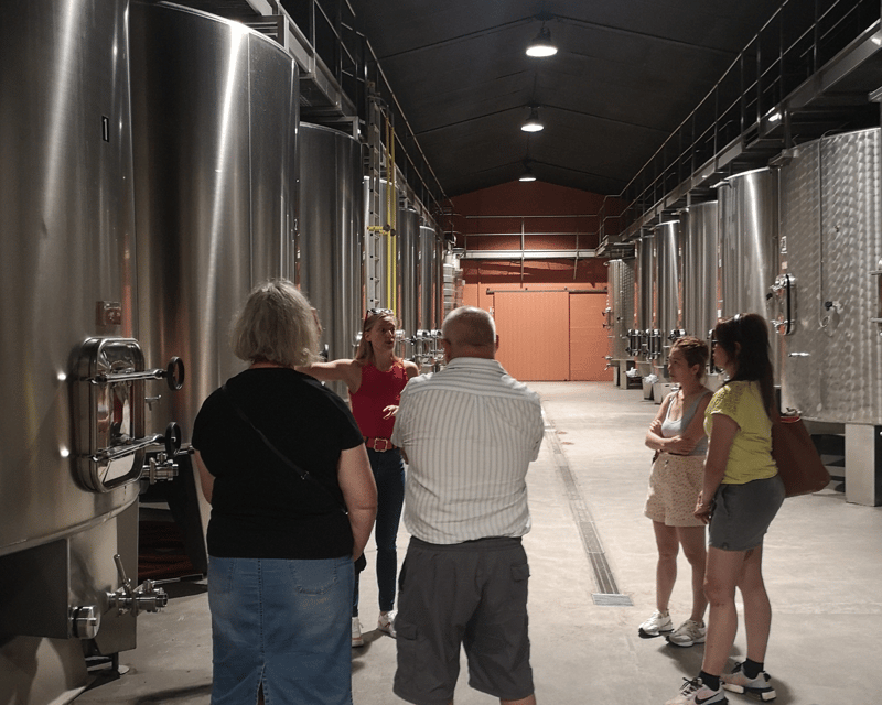 Médoc Wine Tour From Bordeaux: 2 Wineries & 6 Wines - Good To Know