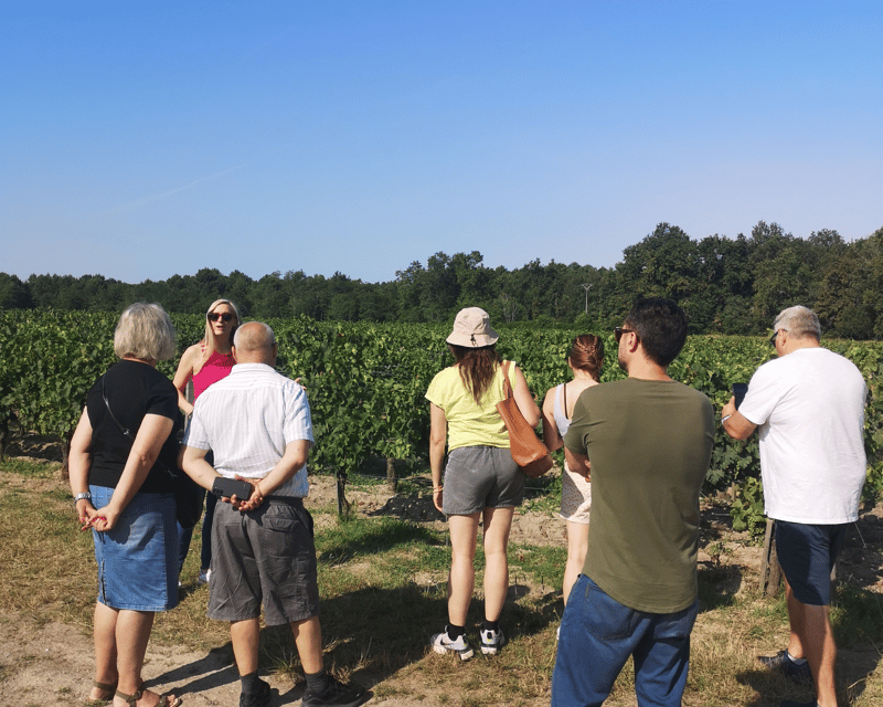 Médoc Wine Tour From Bordeaux: 2 Wineries & 6 Wines - Itinerary Details