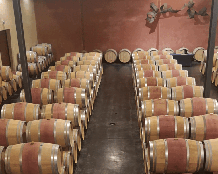 Médoc Wine Tour From Bordeaux: 2 Wineries & 6 Wines - Wine Tasting Experience